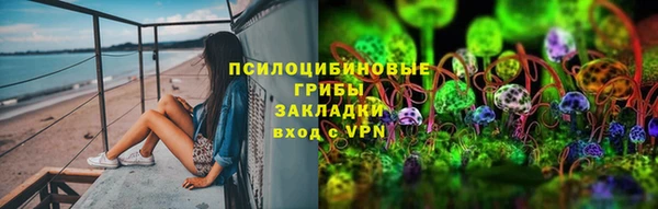 гашик Анжеро-Судженск