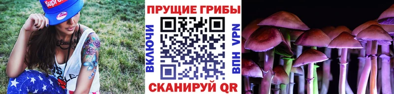 Псилоцибиновые грибы Cubensis  darknet какой сайт  Смоленск 